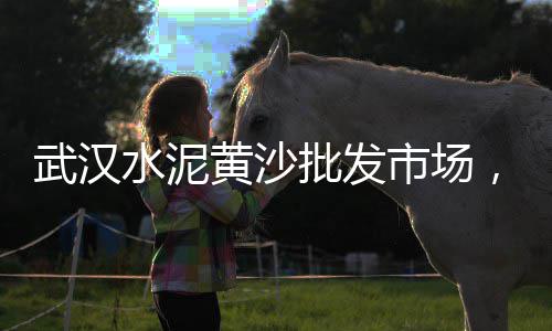 上海黄沙搅拌站电话号码、上海建筑用黄沙哪家好、上海黄沙岛坐什么车到达、上海黄沙多少钱1包