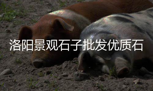 黄沙租房衣柜价格图大全、蕲春城投黄沙价格最新、合肥黄沙价格表2025、长沙市今日黄沙价格