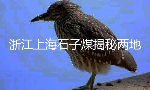 金湘水泥价格、雄安水泥空心板价格、东莞水泥斗拱价格详情图、保时捷贴膜水泥灰价格