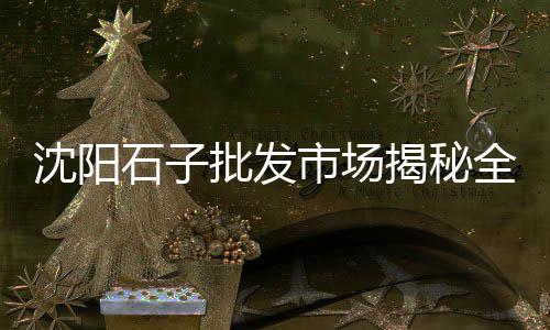 济南批发石子市场在哪里、山西忻州石子青料批发、唐山建筑青石子厂家批发、武汉市石子批发厂家
