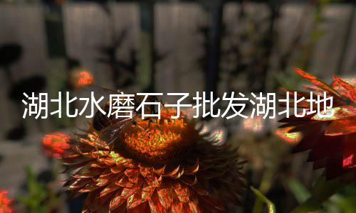 上海哪里有石子加工厂、上海哪有红白石子卖、上海青石子采购、上海拉石子船运费