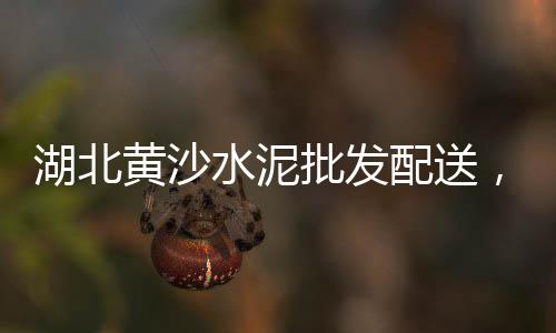 东莞深圳水泥市场需求、阿里水泥市场、汉沽冀东水泥市场、朱河水泥市场