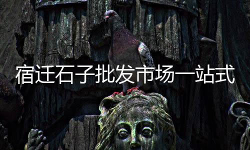 洛阳石子零售电话、濮阳石子零售地址在哪里、石子水泥沙子零售、双口石子零售商