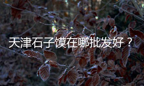 如东黄沙石子批发市场、山庄石子批发市场在哪、乐山黑色石子批发市场、淇县建材石子批发市场