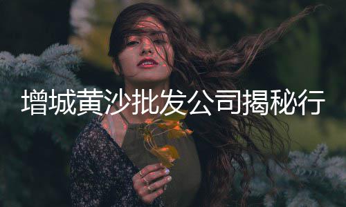 上海卖黄沙石子、上海石子破碎站定制、上海碎石子红、上海哪里有白石子
