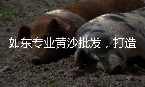 莆田市河沙石子批发市场、临朐县白石子厂家批发市场在哪、杭锦旗灰石子厂家批发市场在哪、无棣县灰石子厂家批发市场在哪