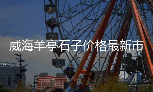 上海出售石子厂家、上海卖黄沙石子、上海传尧再生石子、上海丢石子的地方