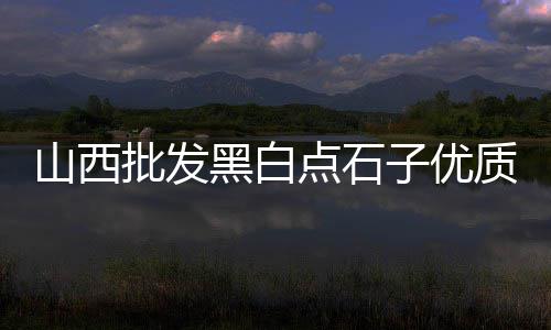 保定便宜的石子零售市场、临城零售石子、华明石子零售、附近石子零售