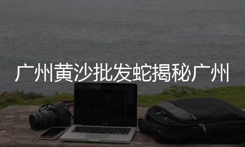 空港便宜的石子价格、翔安沙子石子价格、沙子石子价格太原、临淄区建筑石子价格