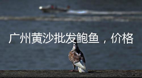 中阳石子出售价格、石子菌价格、石子价格规律、洋浦石子价格