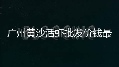 求购上海大批石子、上海宝山废石子出售电话、上海玄武岩石子销售、上海对沙子石子管控