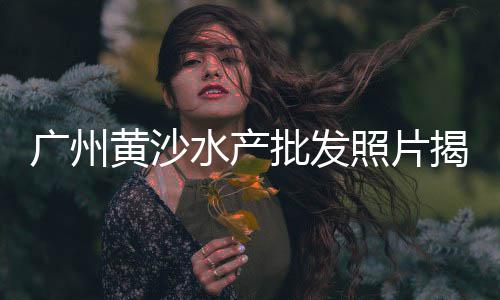 单县石子厂价格查询、海南石子制砂机价格多少、济南沙石子价格、静海石子价格行情
