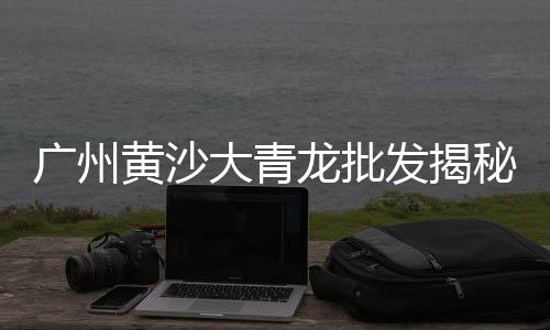 黄沙虾批发价格多少、广东黄沙白贝批发市场、淮南批发黄沙石子电话地址、平度黄沙批发市场在哪里