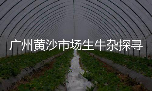 沁阳零售石子水泥、黄沙石子零售批发电话号码、宜兴黄沙水泥石子零售店、经济开发区石子批发零售