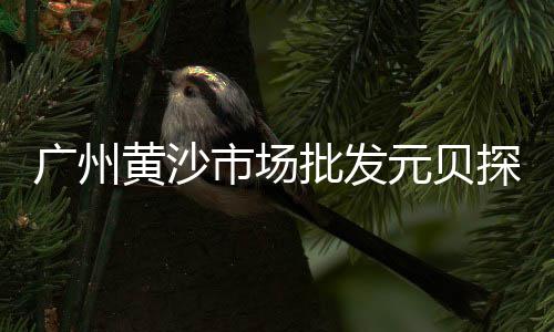 海安水泥黄沙批发零售店、丰县哪有零售黄沙卖、珠海黄沙零售哪家好、黄沙零售公司地址