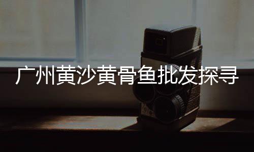重庆河沙石子价格、黄山歙县石子价格、荔浦市石子价格、瓜子料石子价格