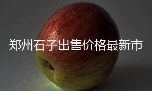 黑胶粘石子价格、河南石子装料机价格、宁波奉化石子价格、2020年平邑石子价格