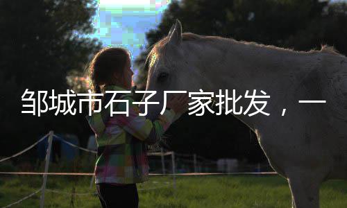 江西水泥厂布袋批发价格、广宁县水泥砖批发市场、陕西水泥厂布袋批发价格、营口市水泥多孔砖批发商
