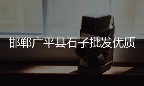 广州黄沙市场小波龙批发、黄沙澳龙批发、焦作黄沙直销批发、黄沙水产批发加工