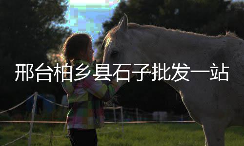 蜀山区黄沙水泥批发、广州黄沙台山蟹批发市场、罗河黄沙批发市场在哪、常州市黄沙水泥批发配送