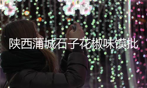 上海承包石子厂家、上海做在生石子的场地、上海交大石子康、上海太仓石子交易市场