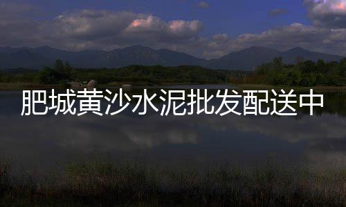南沙黄沙零售公司有哪些、新昌黄沙水泥零售、黄沙水泥零售利润、黄沙零售哪家好点