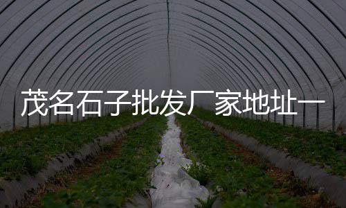 厦门至上海海运石子、上海代加工石子的公司、上海再生石子代加工、上海高速石灰岩石子