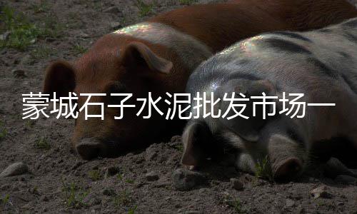 沙石子红砖价格、巨野县石子价格、磨石子地板价格、垫层铺石子多少价格