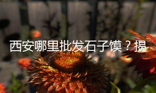 上海嘉定红砖石子公司地址、上海求购普料石子的公司、上海再生石子厂价格表、上海汉白玉石子定制