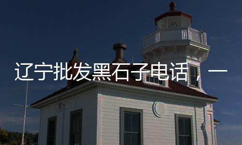 上海黄沙水泥沙场在哪里、上海崇明黄沙岛民宿推荐、上海小胖熊黄沙水泥配送、上海黄沙船撞游轮事故
