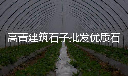 广元零售水泥厂家电话号码、经营水泥批发零售文案、白银哪里零售水泥最多、江门水泥发泡板零售