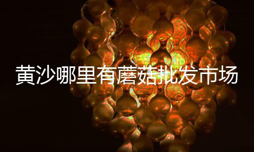 蒲县水泥批发市场、哪里有卖水泥窗户的市场、衡阳水泥市场分析情况、清丰二手水泥盖板市场
