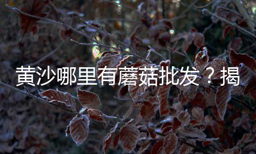 上海水泥钢板库安装厂家、上海水泥黄沙袋装厂家、上海水泥沙浆厂家、上海水泥化粪池安装价格