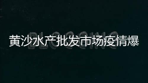 黄沙港农村别墅房价格、临安黄沙价格表、黄沙价格查询今日价、武汉2022年黄沙价格