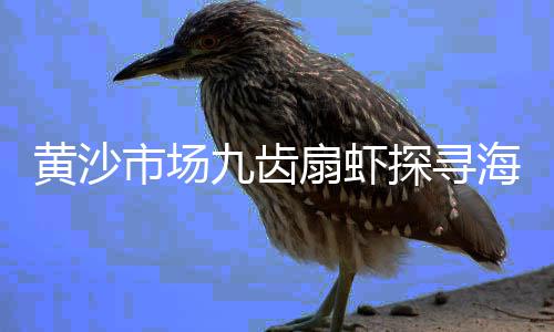 上海卖沙石子的地方、上海哪里有石子浴缸卖呀、上海黄沙水泥石子批发、上海石子鸡汤馆地址查询